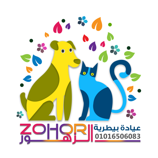 Zohor Clinic